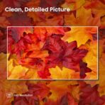 Hisense 32-Inch Class A4 Series FHD 1080p Google Smart TV (32A4K, 2023 Model) - DTS Virtual: X, Game & Sports Modes, Chromecast Built-in, Alexa Compatibility - Image 5